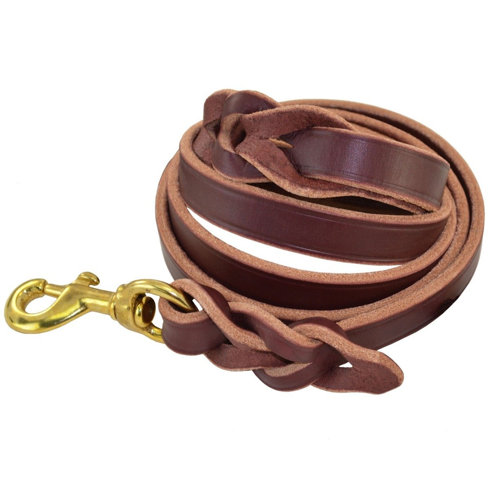 Dog Leash