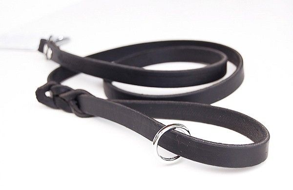 Dog Leash