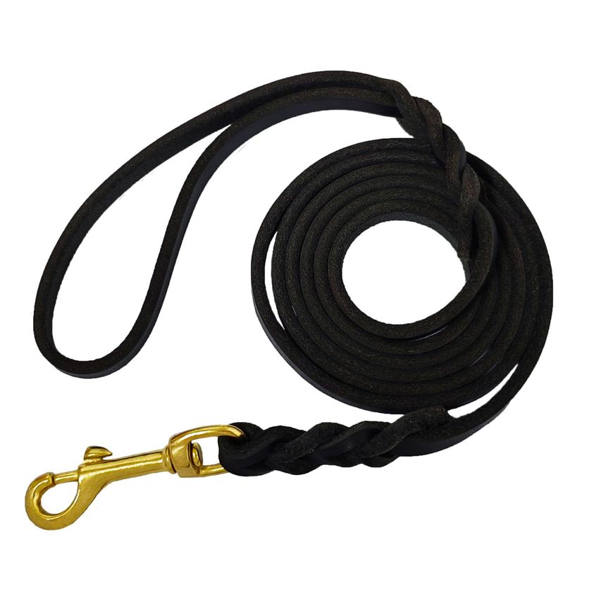 Dog Leash